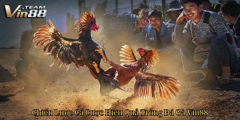 Chiến Lược Cá Cược Hiệu Quả Trong Đá Gà Vin88